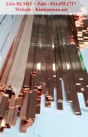 Thanh cái đồng 30x3