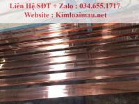 Đồng thanh cái đỏ 40x4