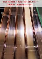 Đồng thanh cái đỏ 15x5