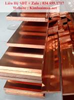 Đồng thanh đỏ 20x6