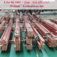 Đồng thanh đỏ 30x8