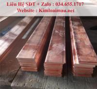 Đồng thanh đỏ 200x10