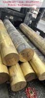 Cây đồng vàng phi 500