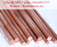 Đồng đỏ tròn đặc phi 12