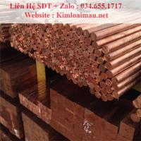 Đồng đỏ tròn đặc phi 42