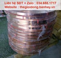 Băng đồng 25x3mm